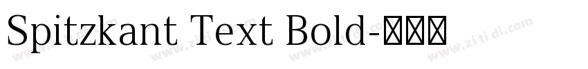 Spitzkant Text Bold字体转换